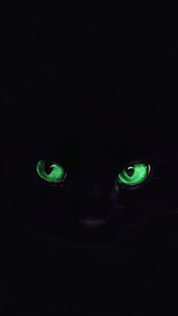 Black Cat Eyes iPhone Wallpaper