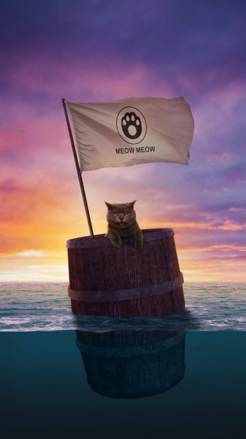 Cat Sailing iPhone Wallpaper