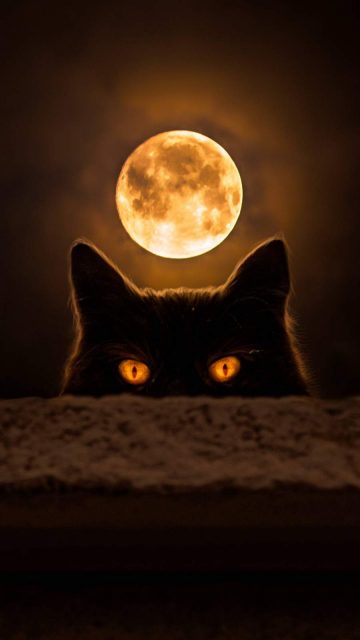 Dark Cat Eyes iPhone Wallpaper