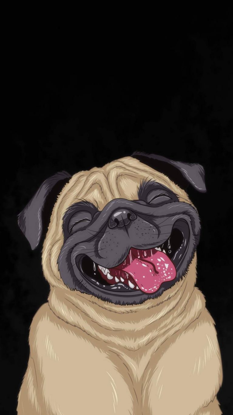 Funny Dog IPhone Wallpaper IPhone Wallpapers iPhone Wallpapers