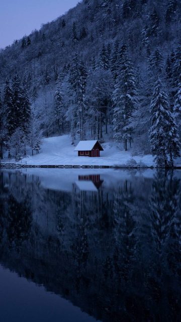 Lake Forest Snow Cabin iPhone Wallpaper