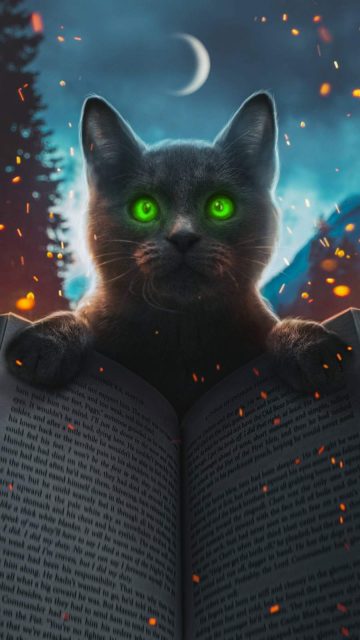 Magic Cat iPhone Wallpaper