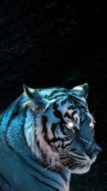 The Tiger iPhone Wallpaper