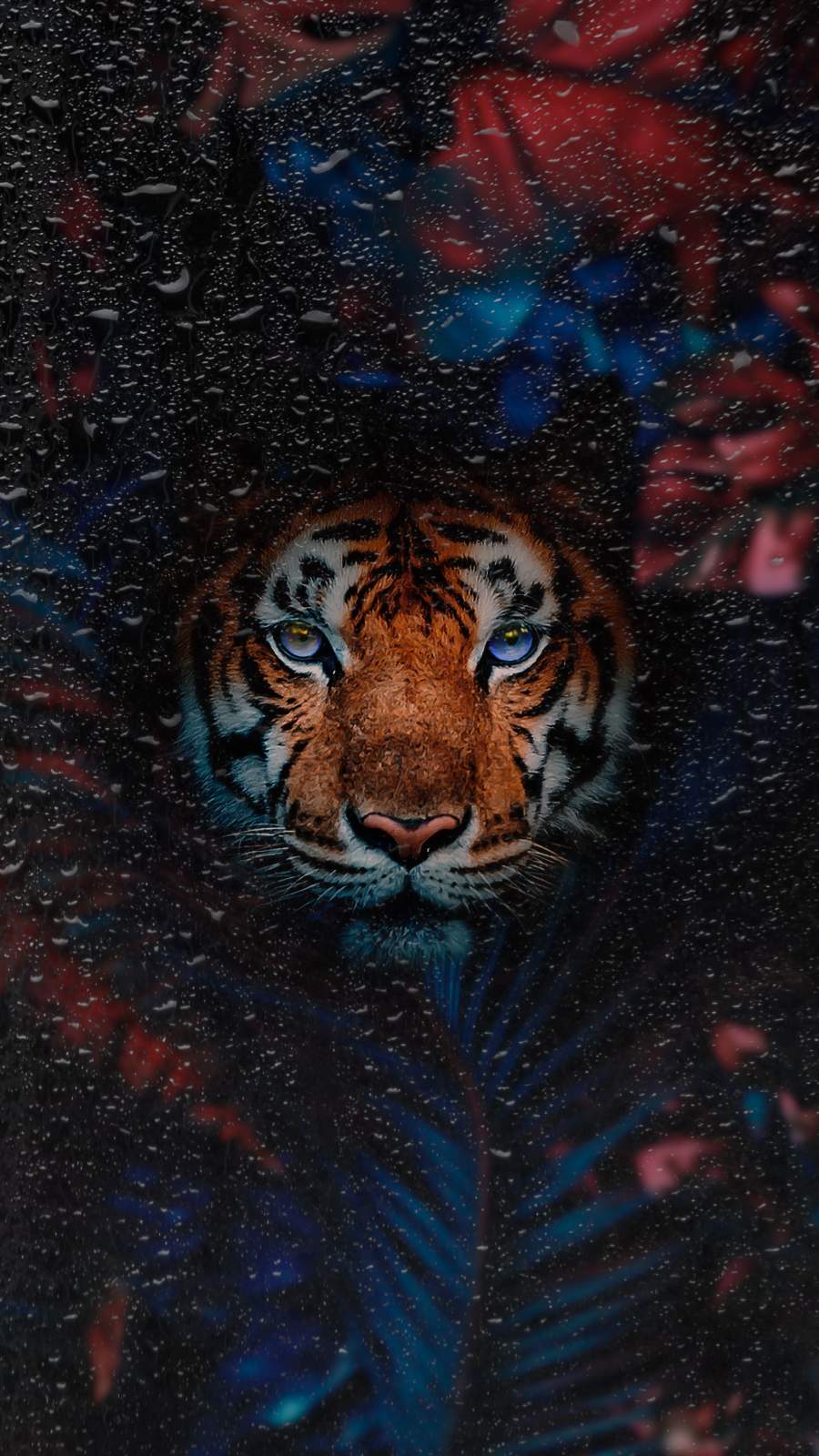 Tiger Live Wallpapers  Ứng dụng trên Google Play