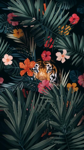 Tiger Hiding iPhone Wallpaper