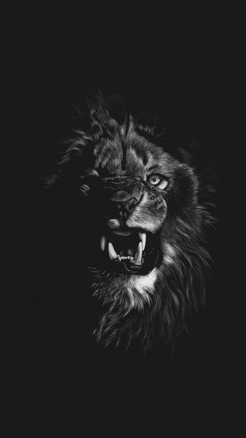 Angry Lion iPhone Wallpaper