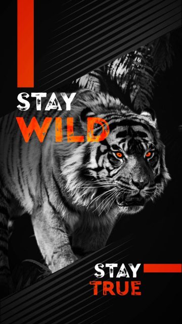 Stay Wild iPhone Wallpaper