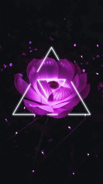 Triangle Flower iPhone Wallpaper