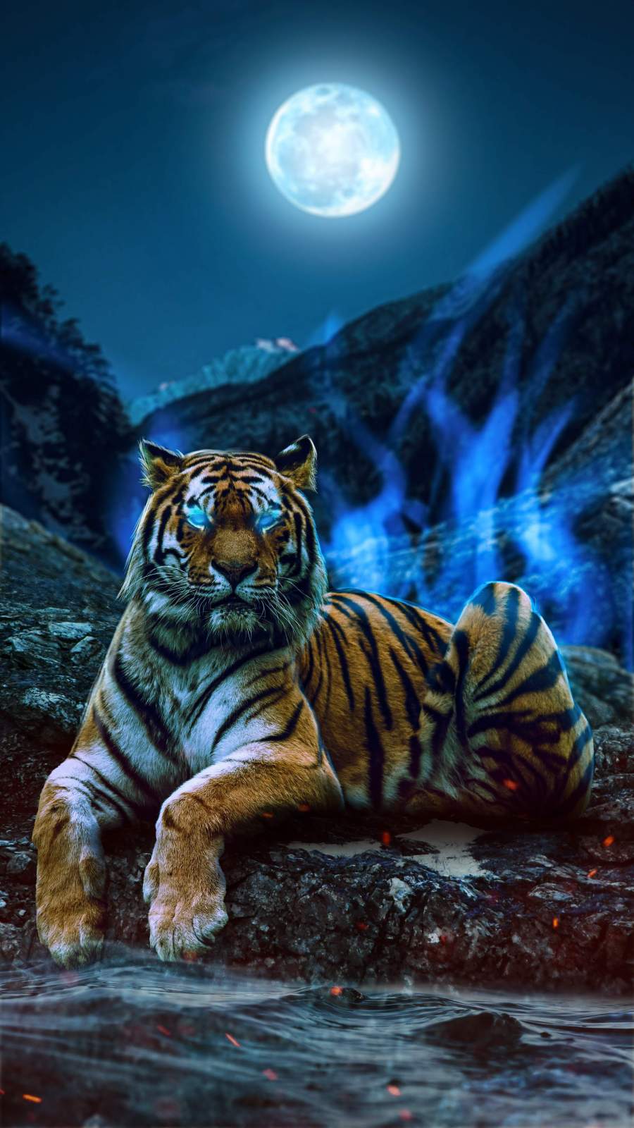 White tiger Wallpaper 4K Roaring Blue eyes Animals 1837