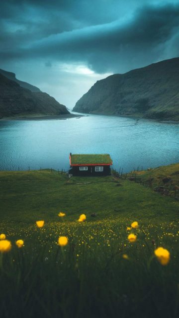 Nature Cabin