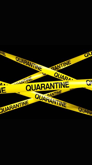 Quarantine iPhone Wallpaper