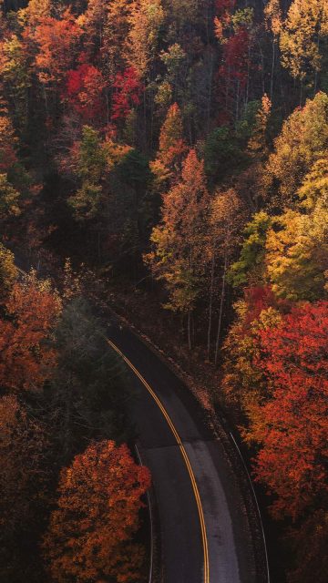 Autumn Roads