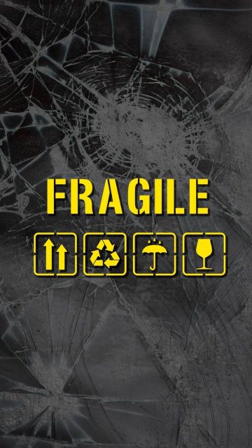 Fragile Thing