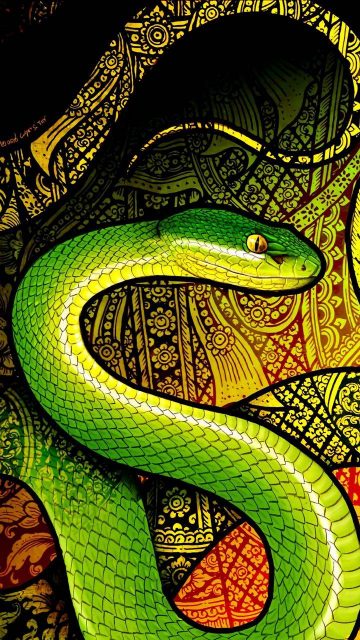 Green Python Snake Wallpaper