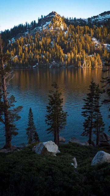 Lake Trees Nature