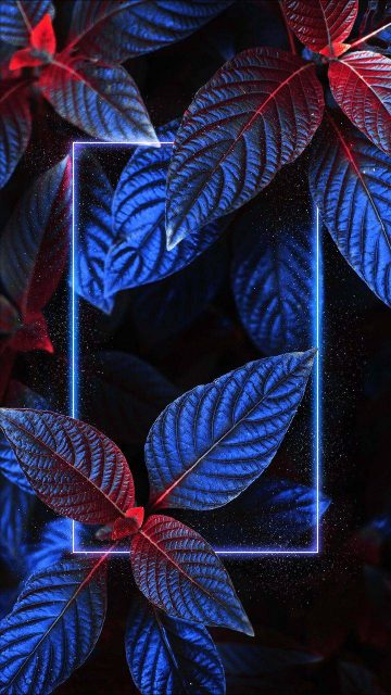 Neon Light Foliage Nature