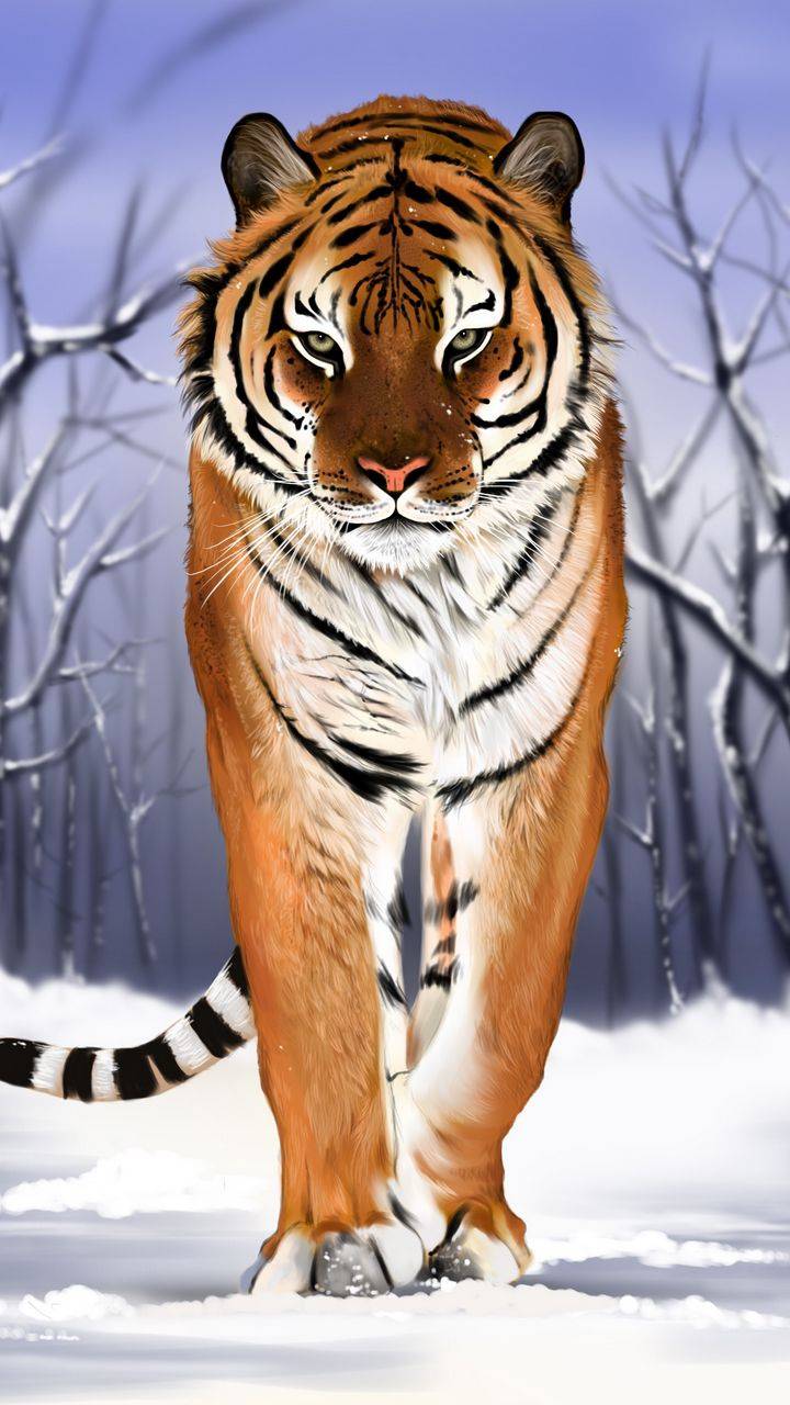 Siberian Tiger - IPhone Wallpapers : iPhone Wallpapers