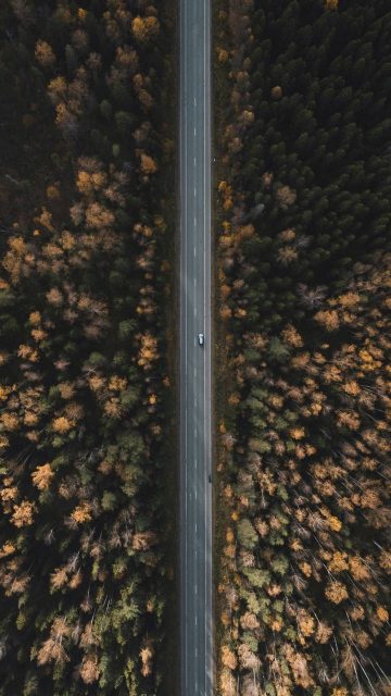 Straight Road Aerial View Nature