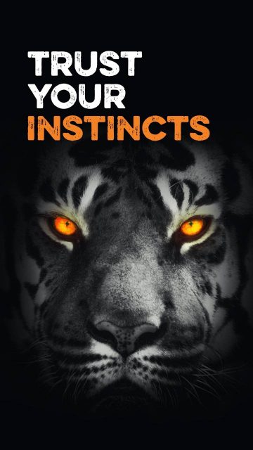 Trust your Instincts