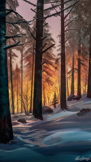 Winter Forest