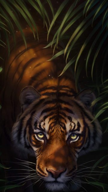 Bengal Tiger iPhone Wallpaper