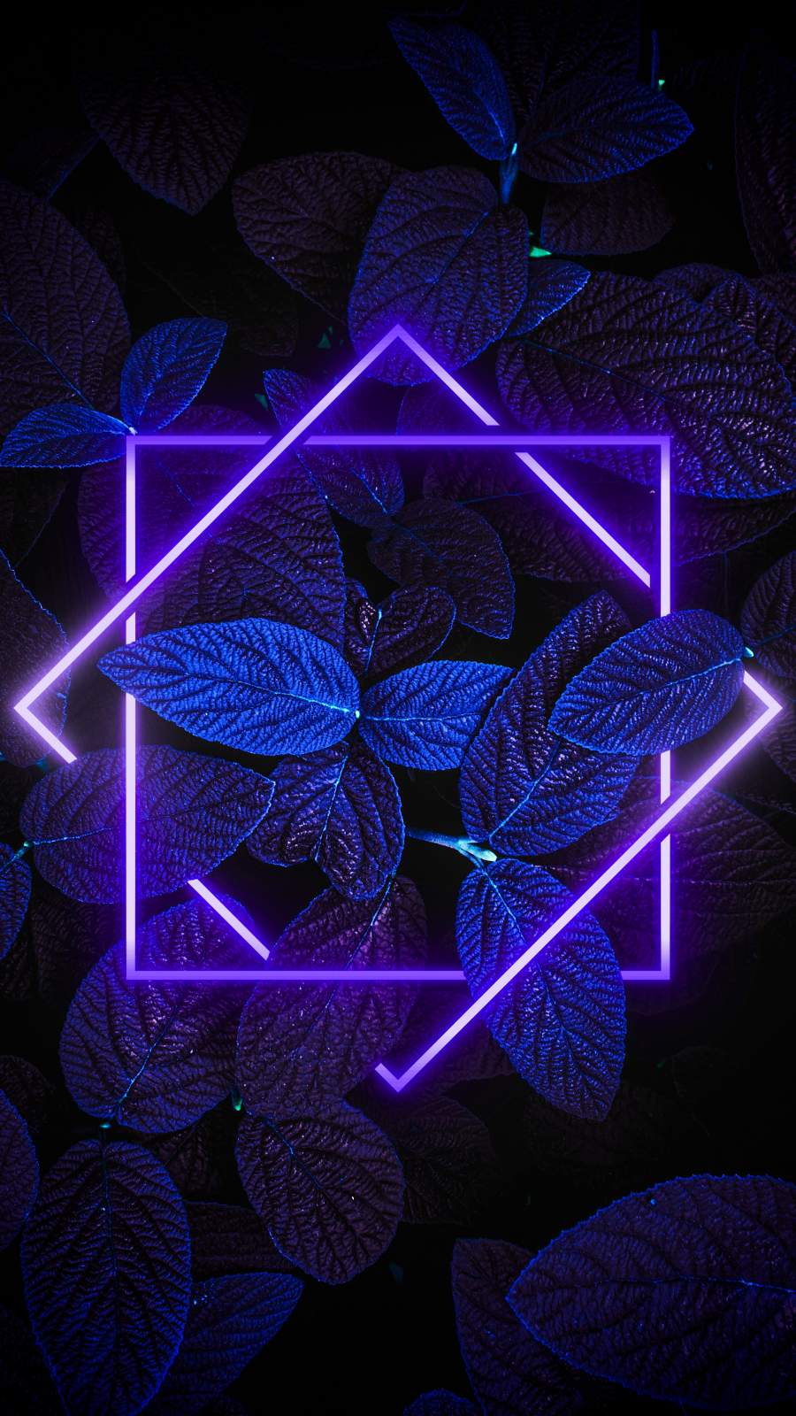 41 Neon Wallpapers for iPhone  WallpaperSafari