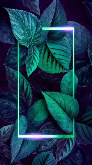 Green Nature Foliage Neon Wallpaper