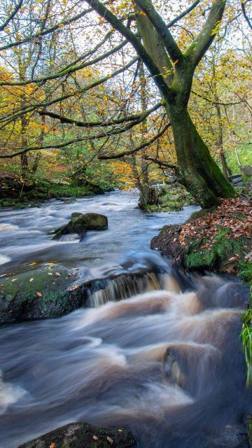 Natural Waterfall Wallpaper