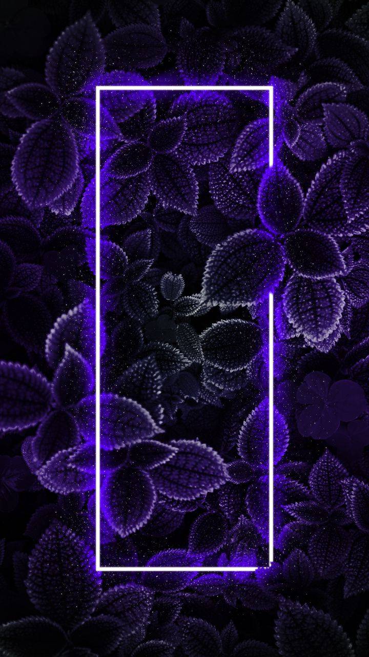 Neon Nature Foliage Dark IPhone Wallpaper - IPhone Wallpapers : iPhone  Wallpapers