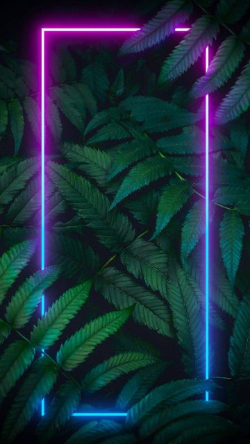 Neon Nature iPhone Wallpaper