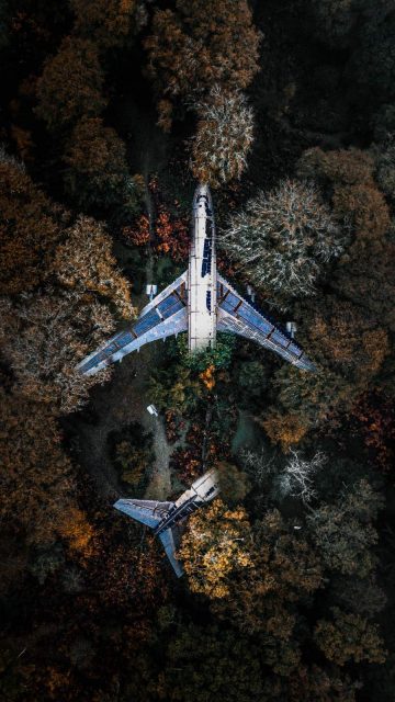 Plane in Forest iPhone Wallpaper