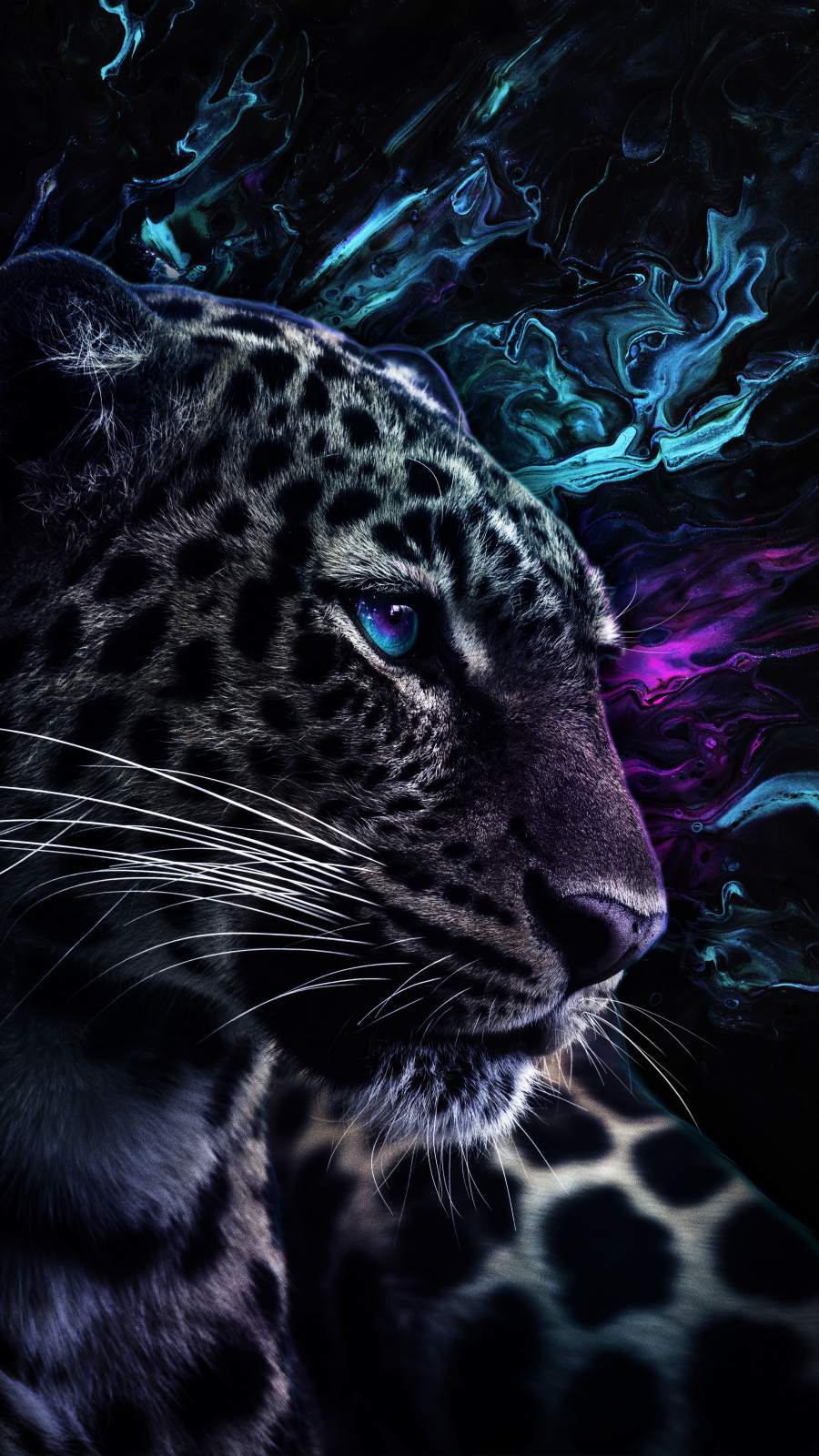 Jaguar Predator Eyes