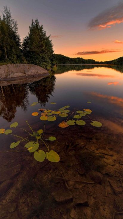Lake Reflection Nature Sunset