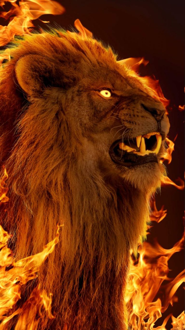 Lion Fire iPhone Wallpaper iPhone Wallpapers