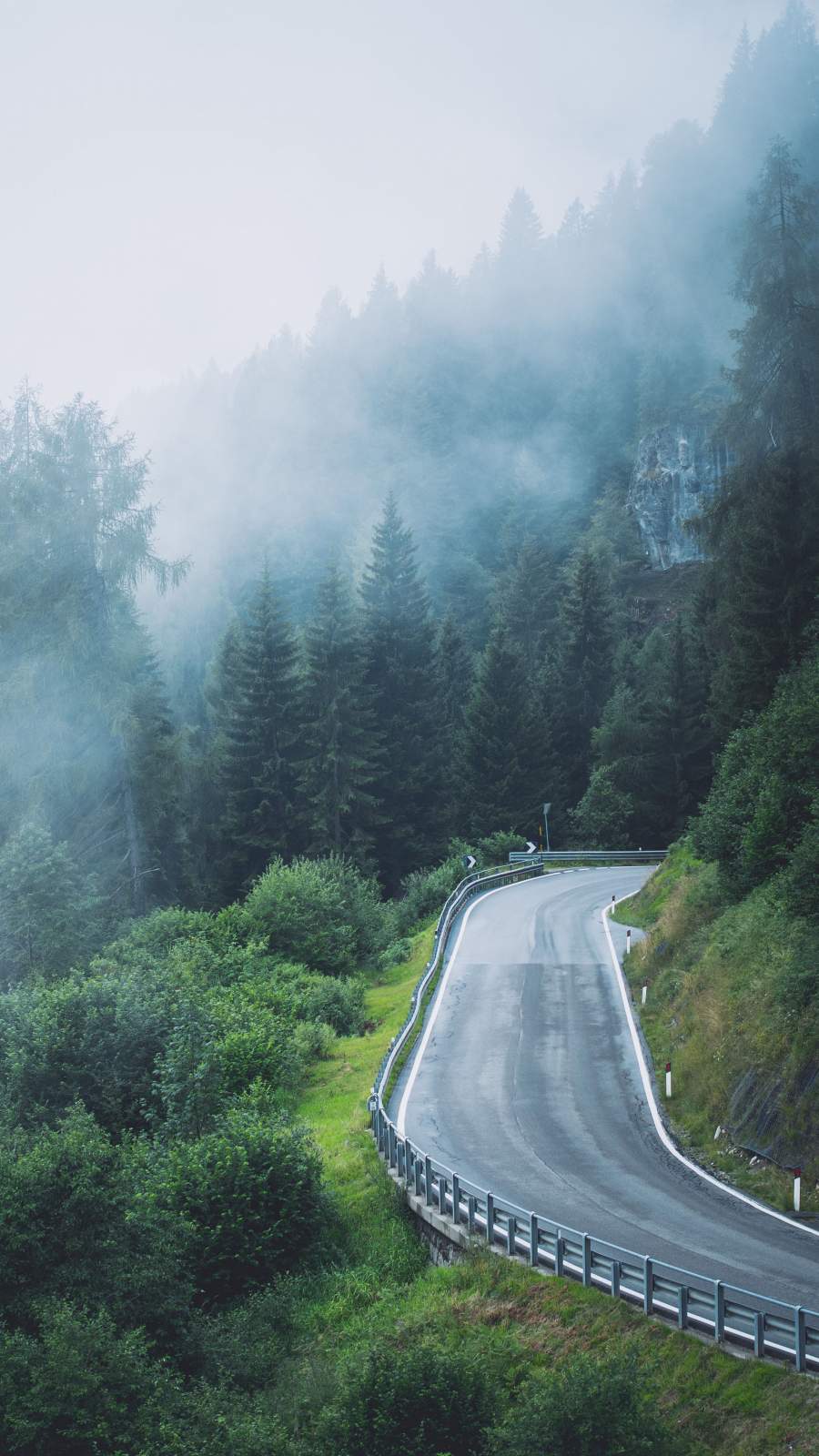 Nature Roads Forest Mist