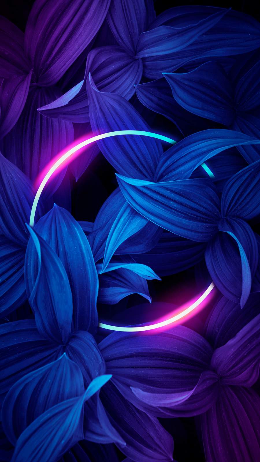 Neon Circle Nature iPhone Wallpaper