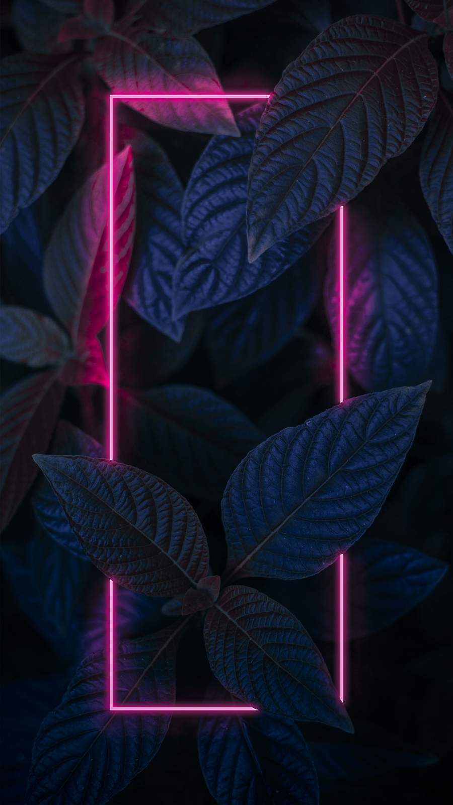 Neon Dark Foliage