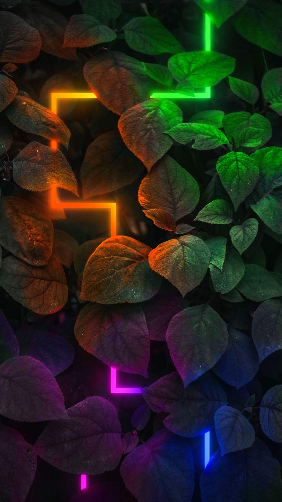 Neon Nature iPhone Wallpaper
