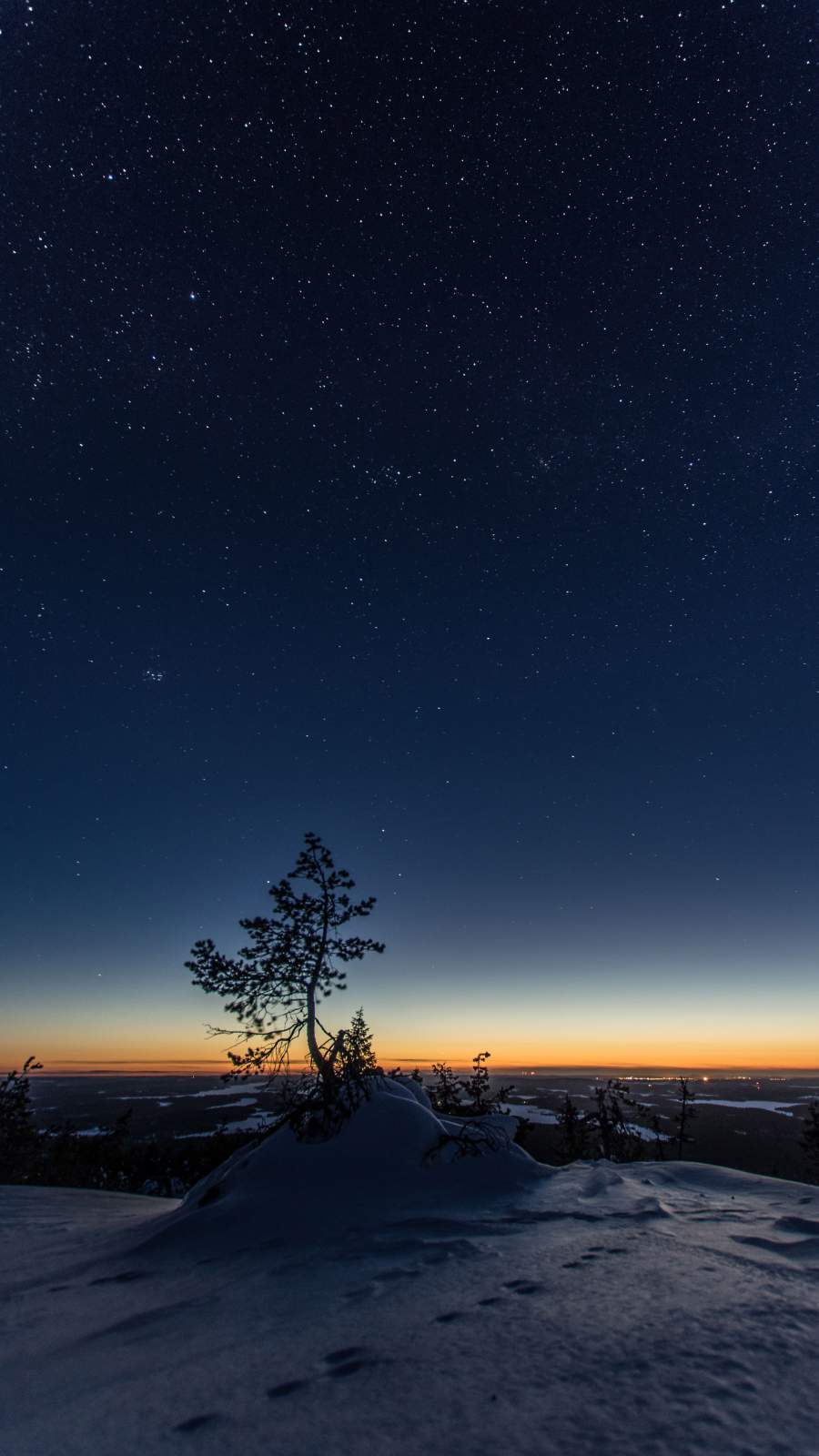 Starry Night Snow Tree