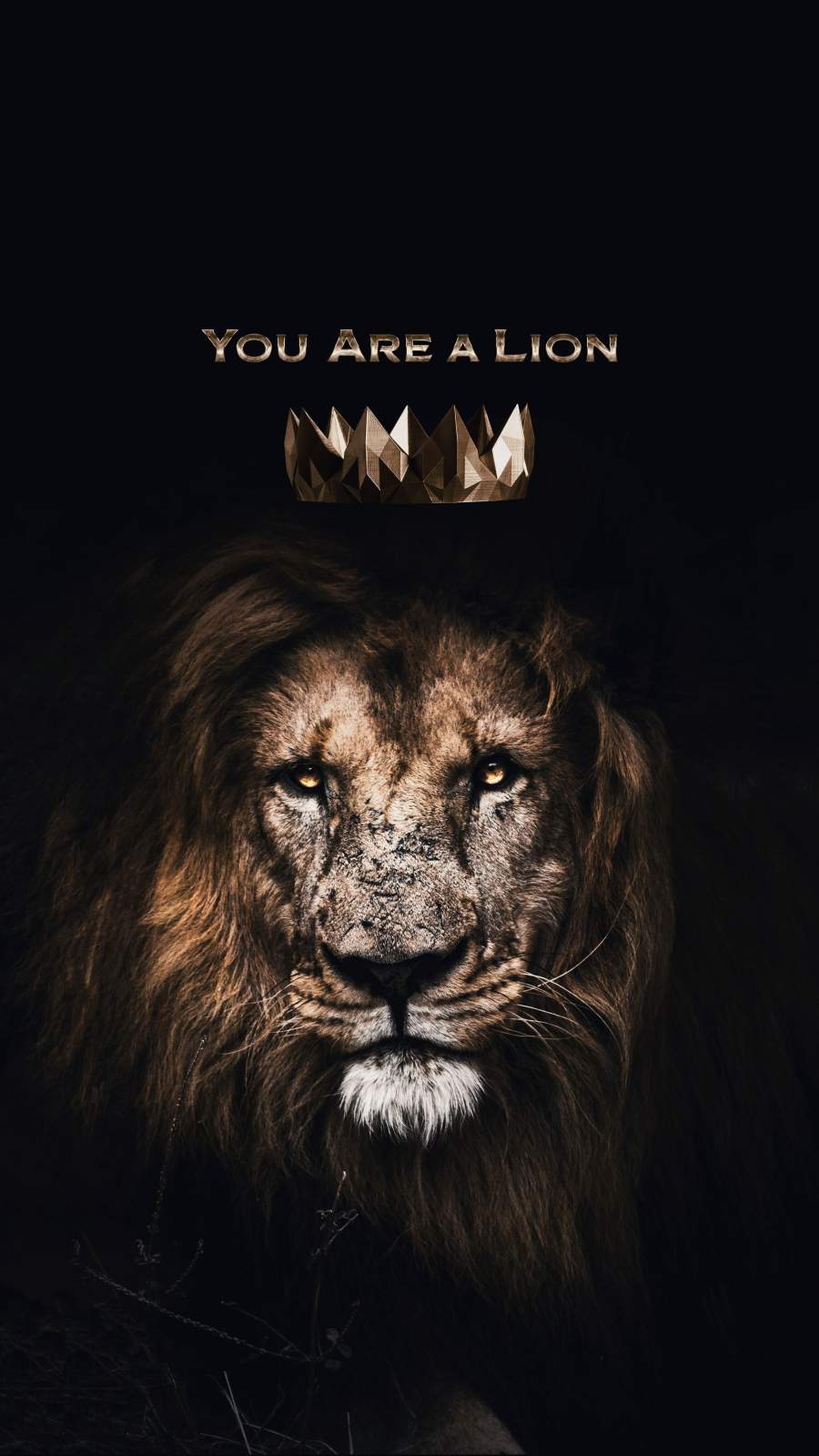 Bạn là một con sư tử - một con vật được tôn vinh với sức mạnh, uy nghi và lòng dũng cảm. Hãy vươn lên trên trời cao để thăng hoa, một chiếc iPhone chứa đựng những hình nền mang thông điệp tích cực này sẽ giúp bạn giữ mãi một tinh thần luôn tự tin và kiên định.