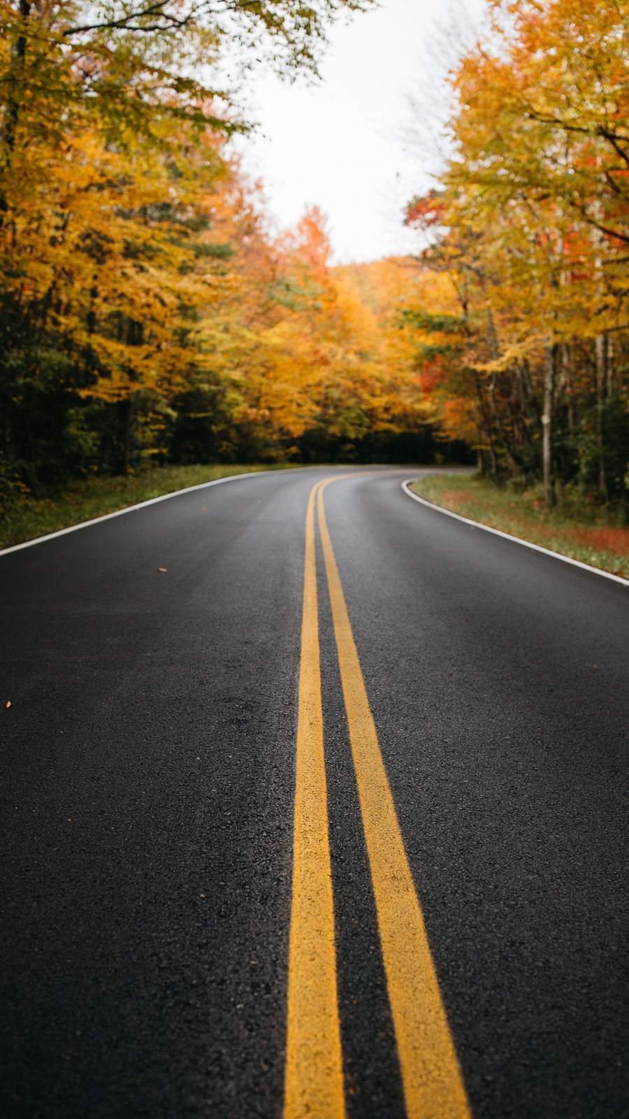 Autumn Road Canada