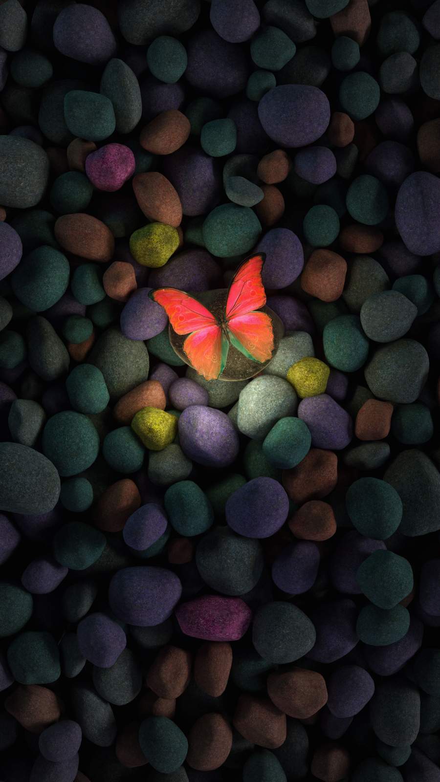 52 Butterfly iPhone Wallpapers  Wallpaperboat
