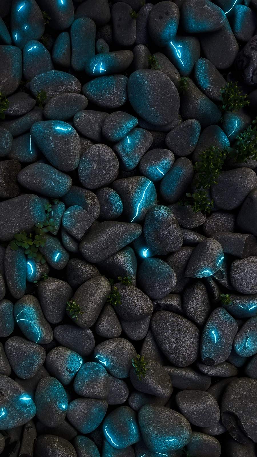 Neon Stone Pebbles