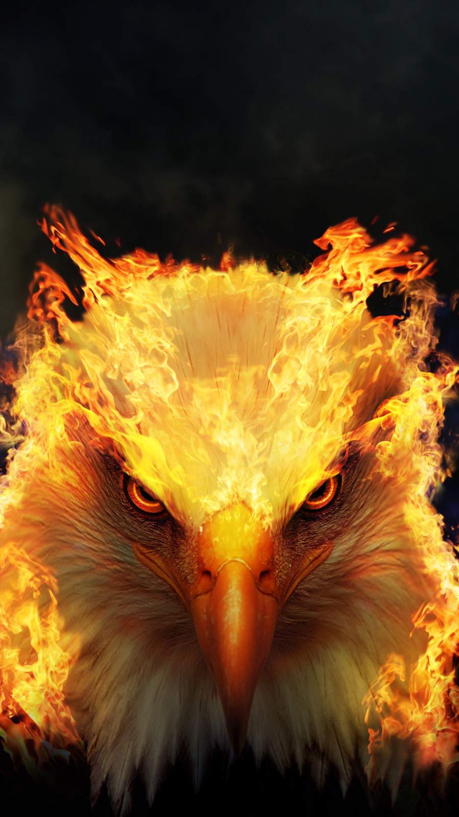 Phoenix Wallpapers and Backgrounds image Free Download
