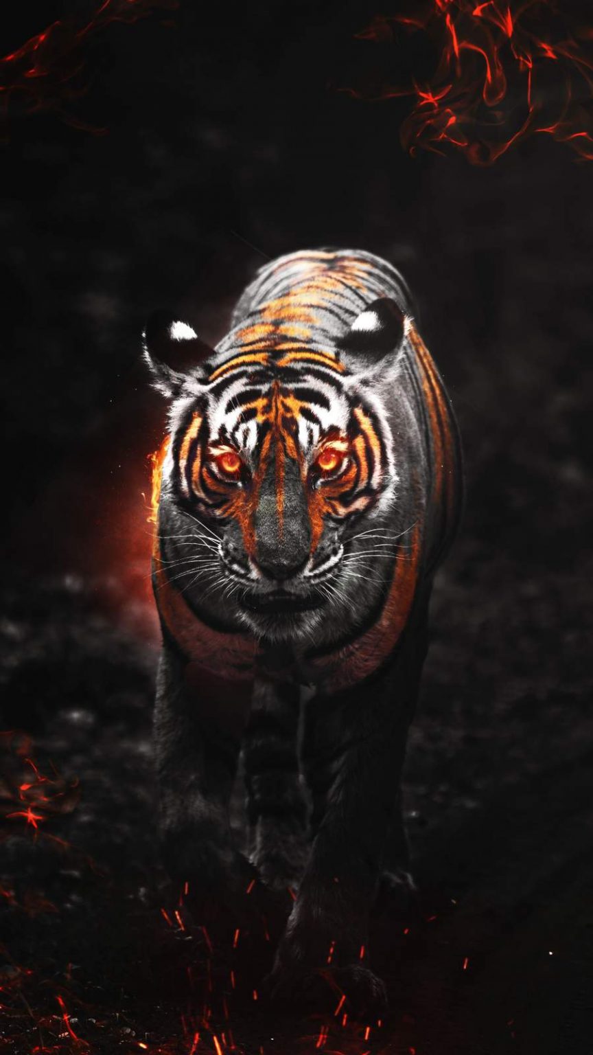 Predator Tiger iPhone Wallpaper - iPhone Wallpapers