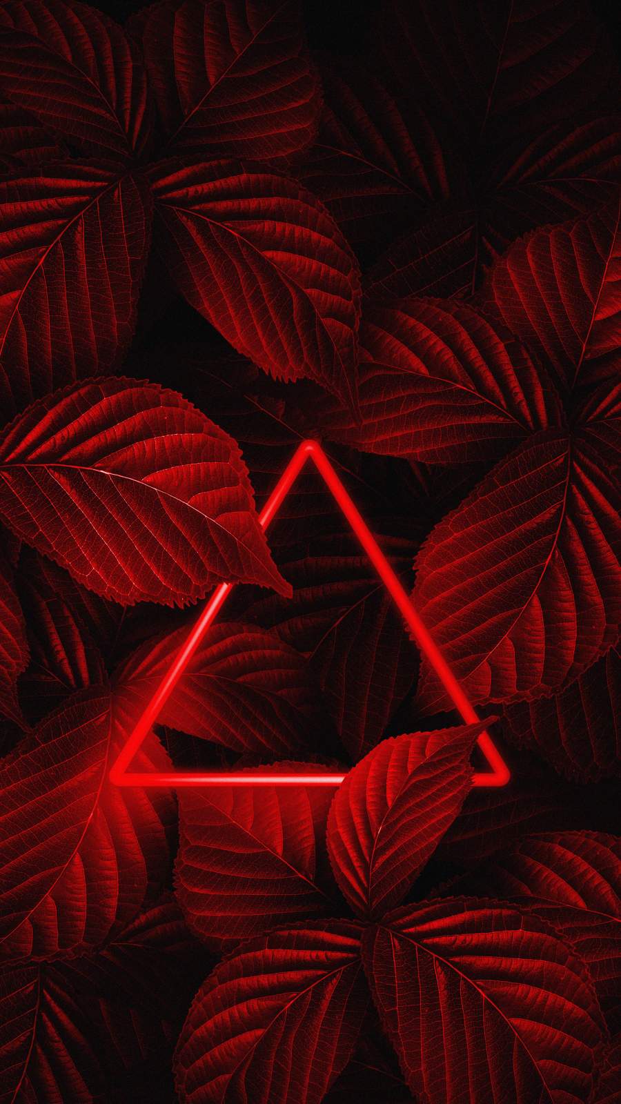 Red Foliage Neon