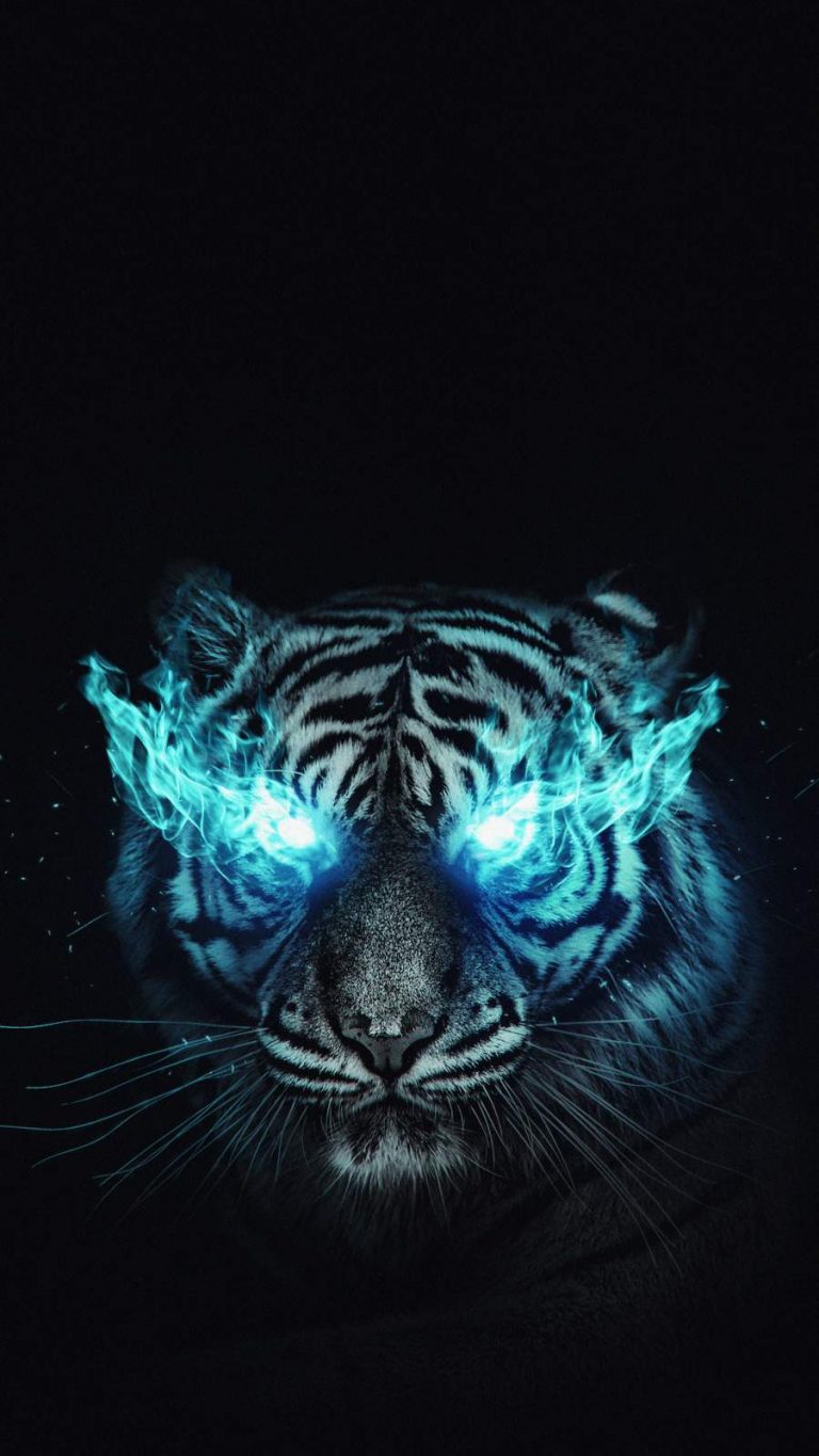 White Tiger iPhone Wallpaper - iPhone Wallpapers