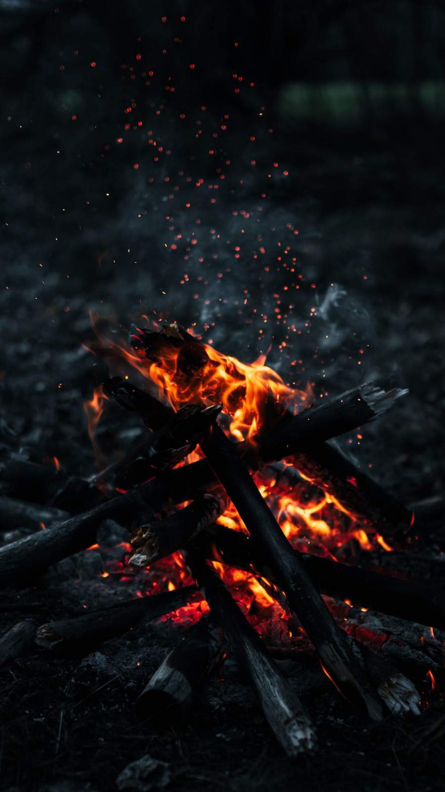 Burning Wood Camp Fire