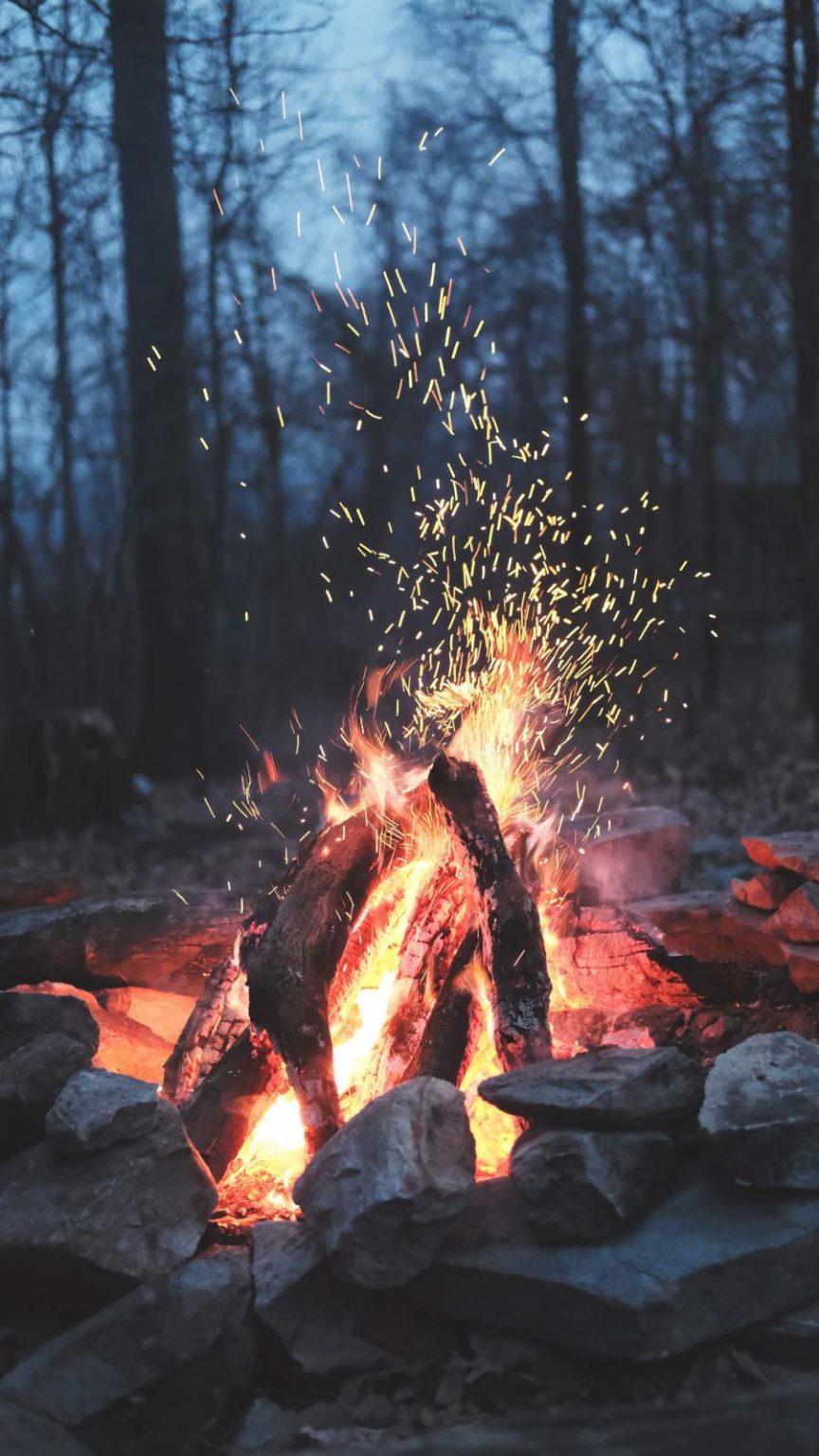 Camp Fire Night iPhone Wallpaper - iPhone Wallpapers : iPhone Wallpapers