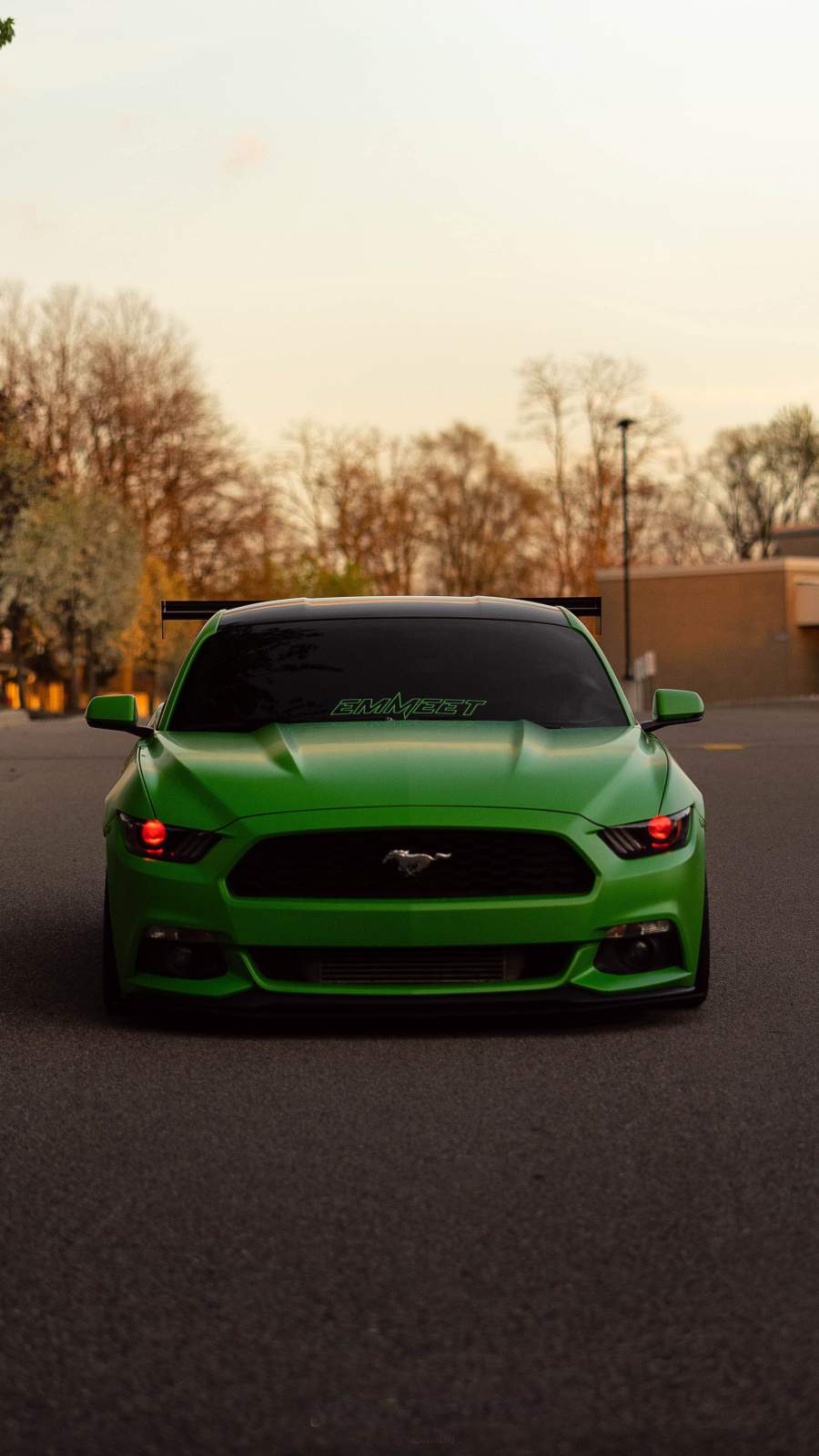 Ford Mustang Green iPhone Wallpaper